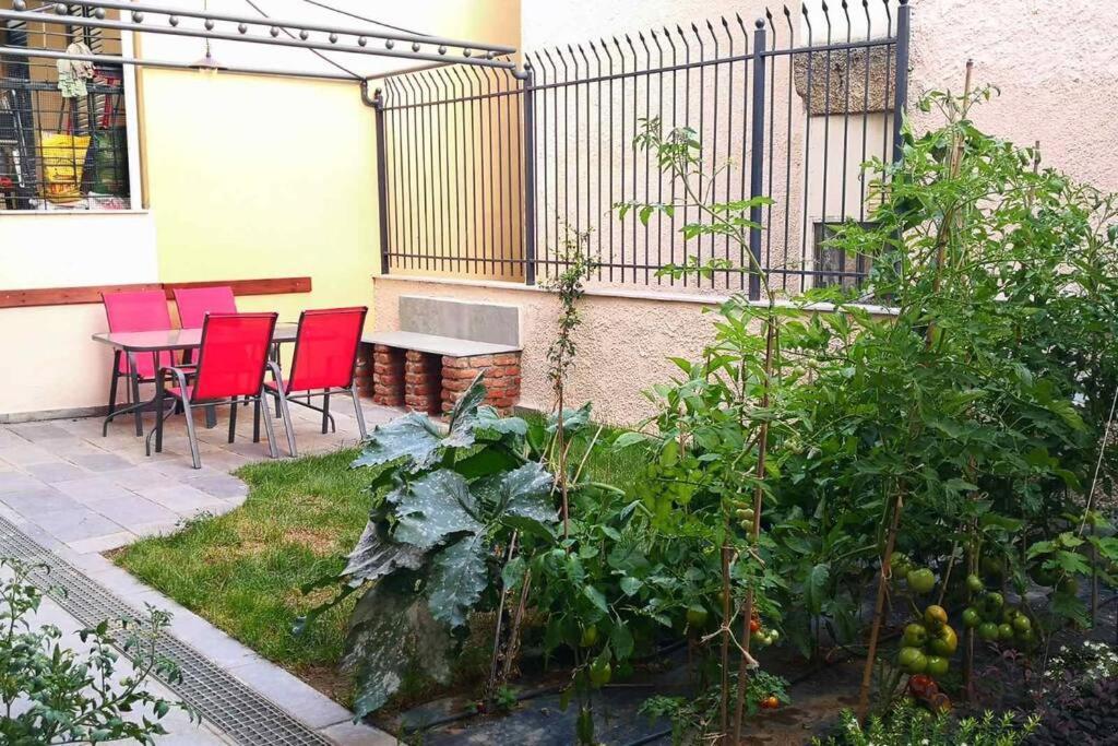 Cozy House With Garden In The Old Town Apartment Thessaloníki Ngoại thất bức ảnh